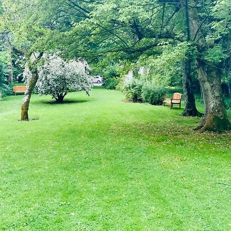 D'inxent אורחן Inxent