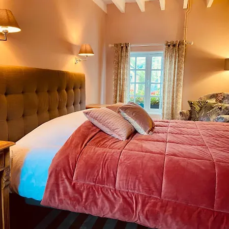 אורחן D'inxent Inxent